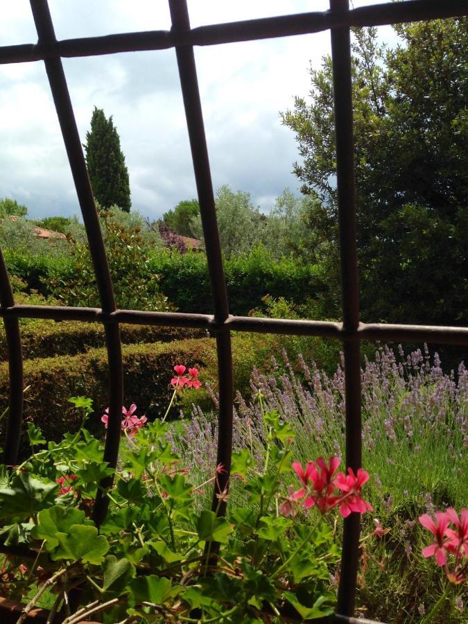 Bed and Breakfast Rosso Del Chianti à Panzano in Chianti Extérieur photo